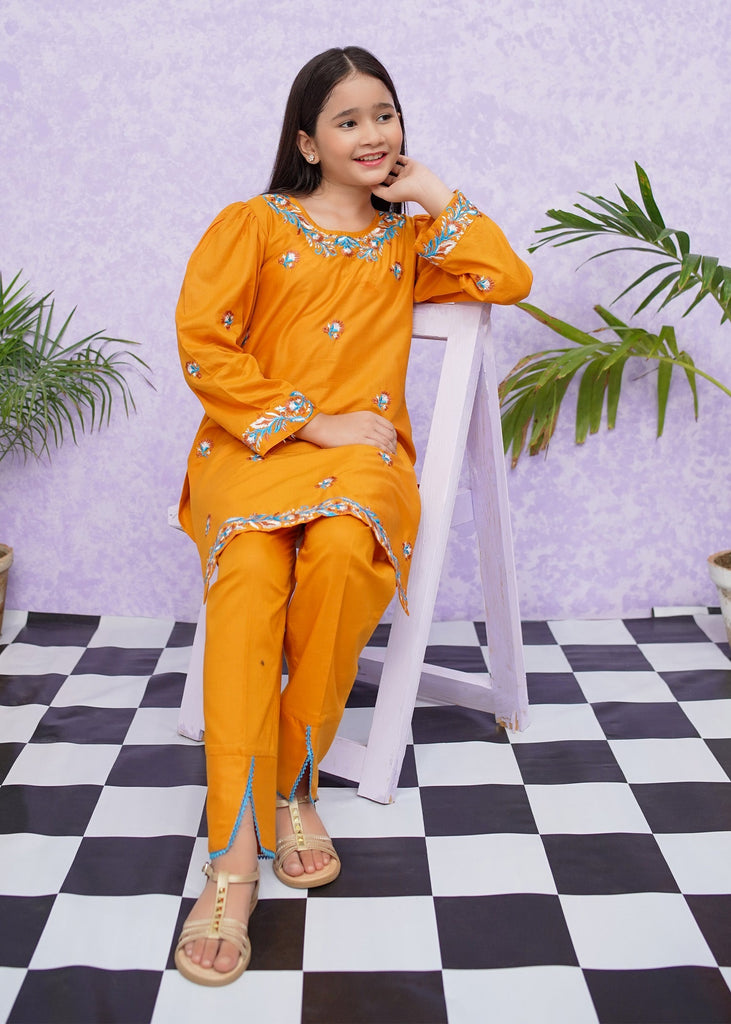 Picture of Girls Cotton Embroidered - 2 Piece Suit - 8485 - by Raja Sahib Kids