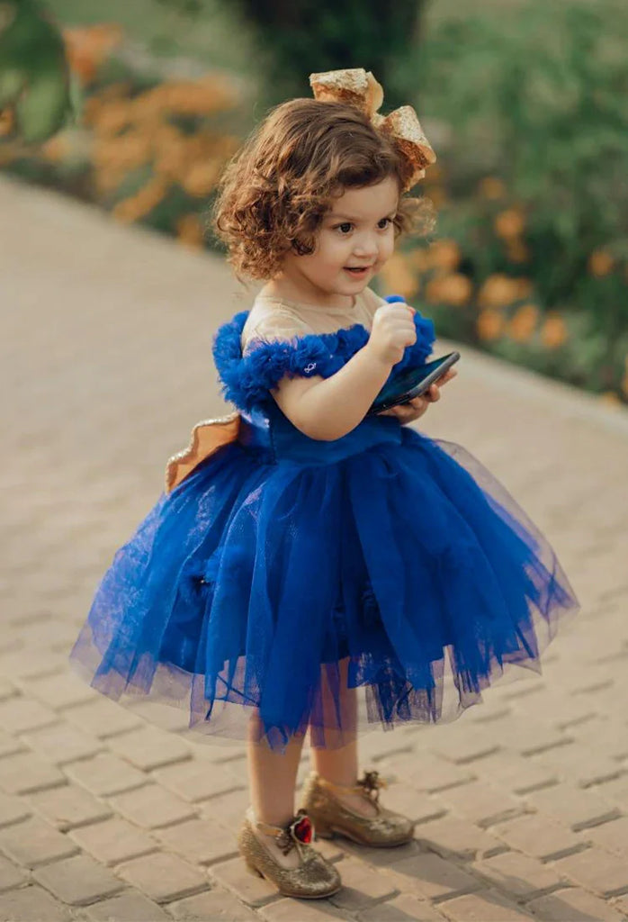 Picture of Fashion With Style Hub - Fancy Frocks - Garden Fairy - by Raja Sahib Kids