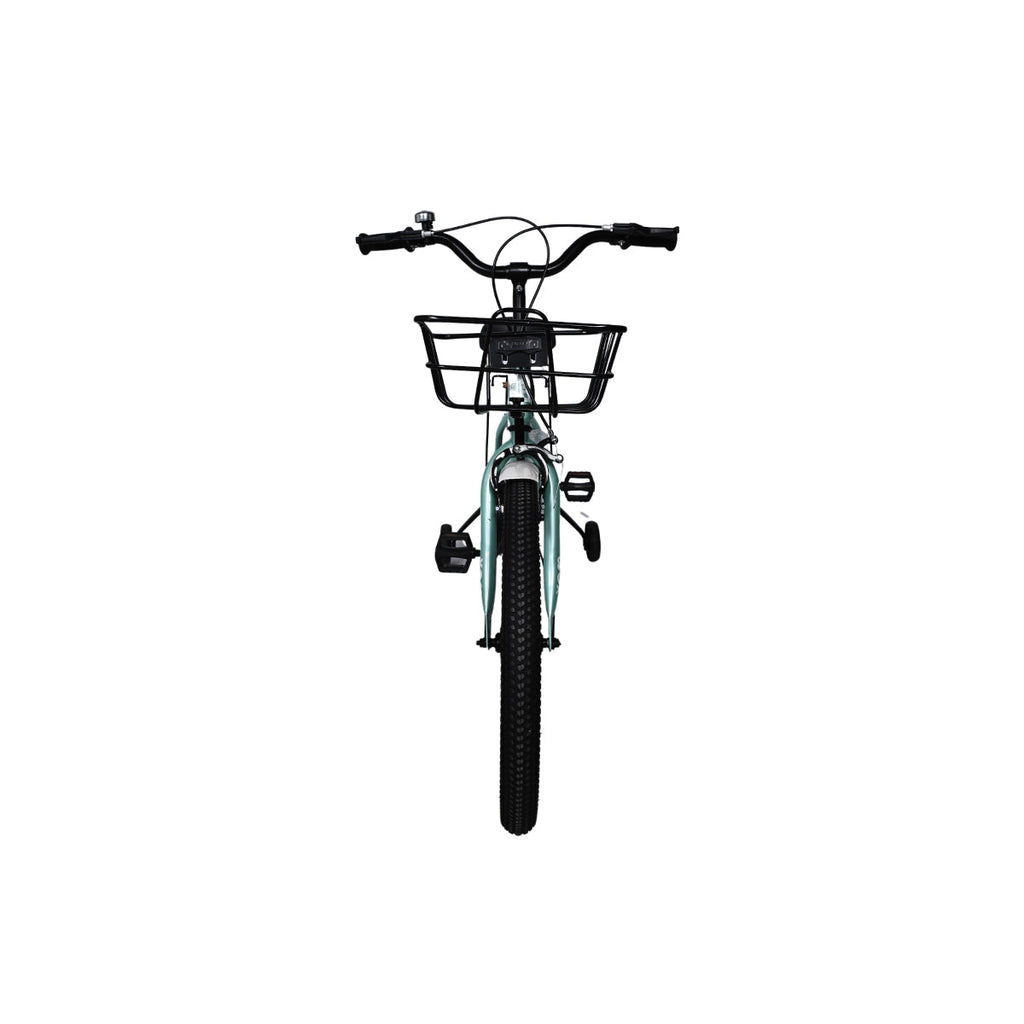 Picture of Kids Bicycle Sage Green 20" - by Raja Sahib Kids